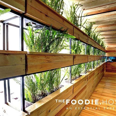 The Foodie Hostel 墨西哥城 外观 照片