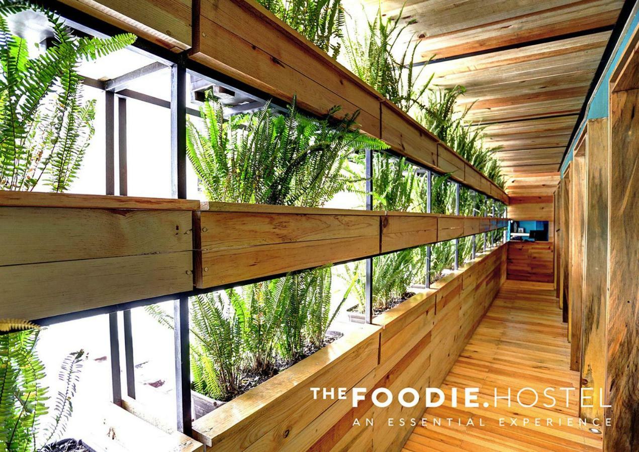 The Foodie Hostel 墨西哥城 外观 照片