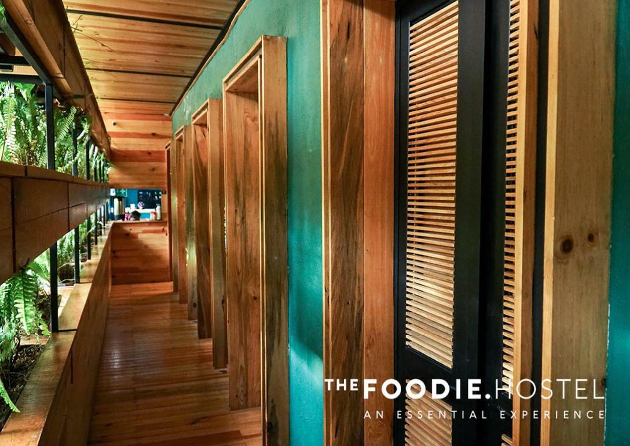 The Foodie Hostel 墨西哥城 外观 照片