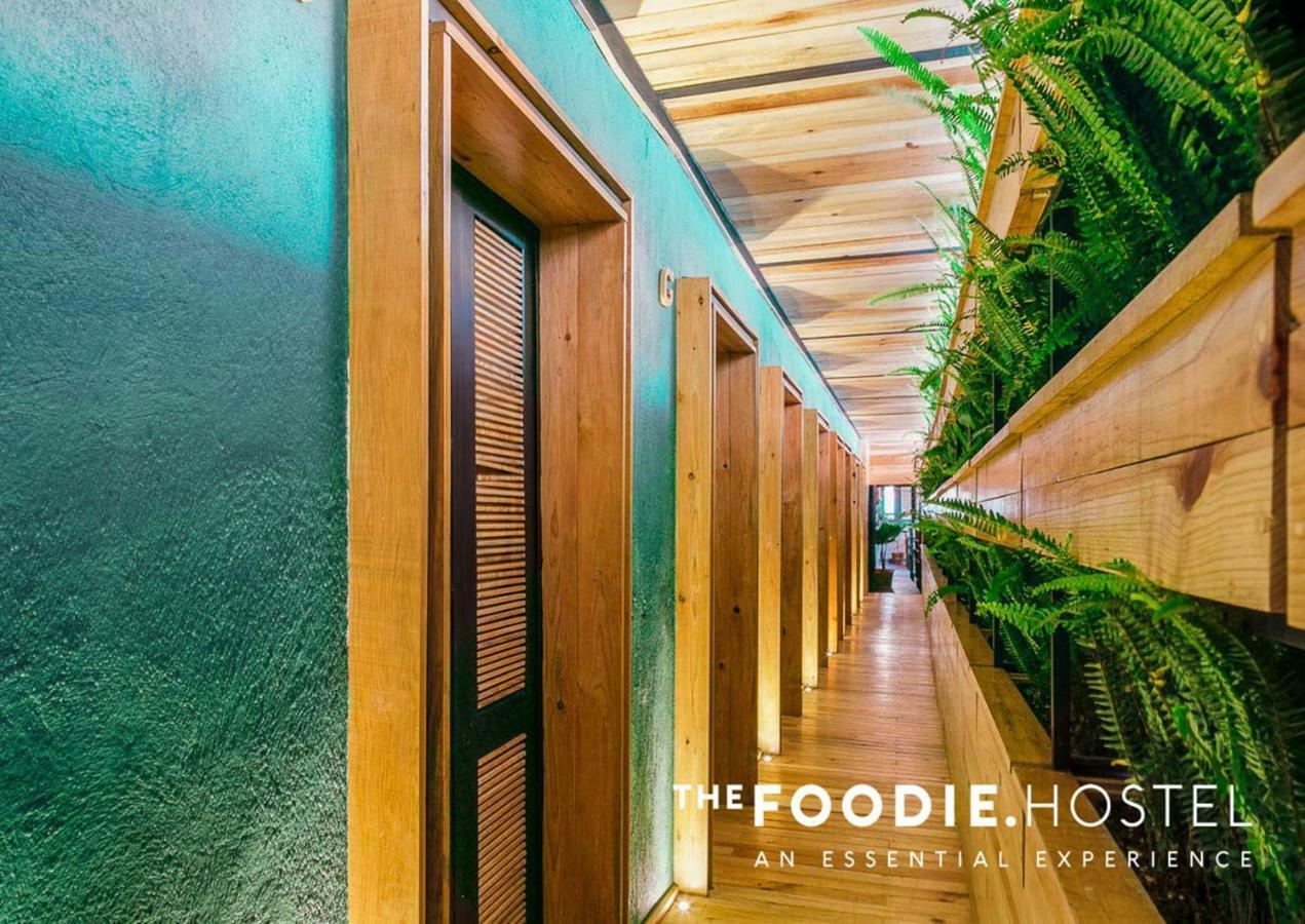 The Foodie Hostel 墨西哥城 外观 照片
